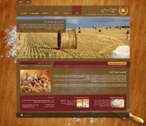 طراحی گرافیک وب سایت