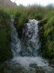 چشمه1