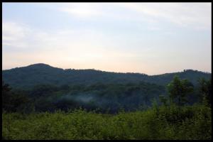 جنگل النگ دره