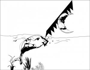 17
