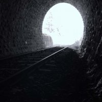 نگاه به طبیعت از دریچه دوربین