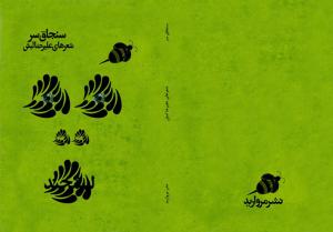 طرح جلد خیالی علیرضا لبش