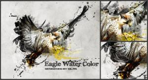 eagle water color