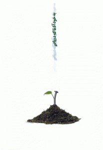 مفهومی (محیط زیست)