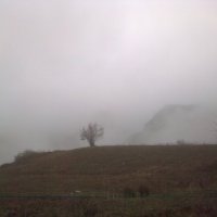 قطعه ای از بهشت