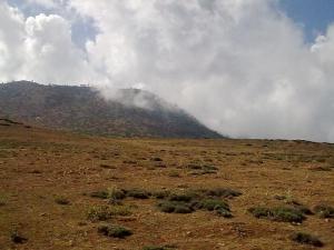 چهارباغ2