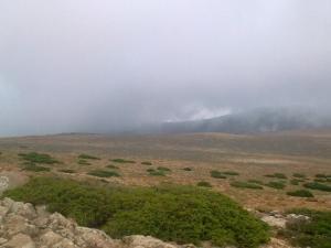 چهارباغ5