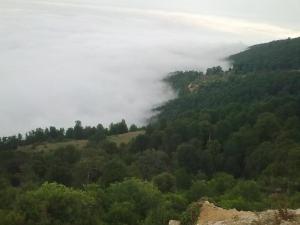 درازنو5