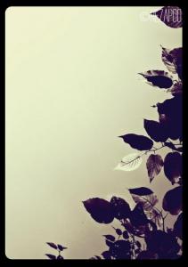 و صدایی