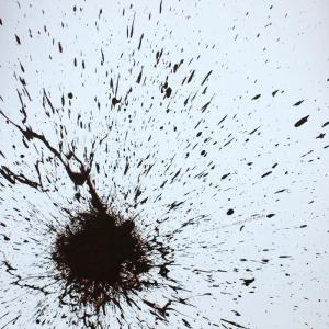 ز هر غبار که آواز ِ های و هو شنوی / بدان که ذره ی من اندر آن غبار بود