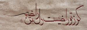 گر زتو راضیست دل من راضیم