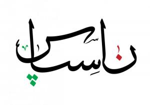 ناسپاس 1