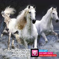 تبدیل عکس به نقاشی رنگ و روغن