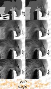 eagle
