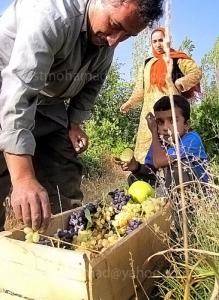 روستای زینین ؛منطقه بیلوار کرمانشاه ؛9 مهرماه 1389