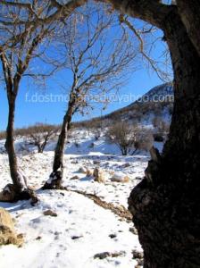 ناودار(بین درختان به زبان محلی) ؛نرسیده به سرپل ذهاب ؛2 دیماه1390