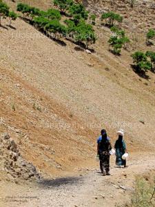 روستای بزگوره ؛از توابع شهرستان پاوه کرمانشاه؛27 خرداد1390