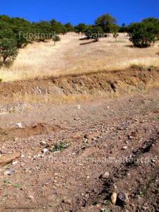 طبیعت روستای بزگوره دراستان کرمانشاه