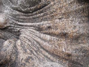 Texture
