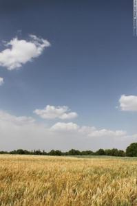 آسمان مال من است . . .