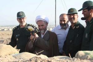 مارمولک و چند عکس دیگر