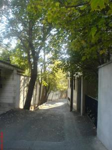 کوچه باغ