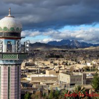 تصاویر محبوب من