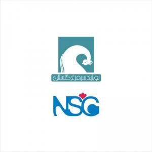 NSG Co