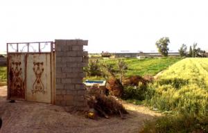 در بهشت