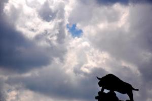چشم هایش از سکوت / خط و خالش از غرور / قلب سرخ و وحشی اش / مثل شر و مثل شور