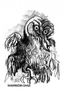 bird drawings-shamsedin ghazi