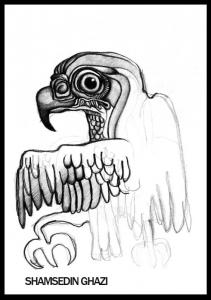 bird drawings-shamsedin ghazi