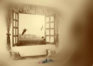 پنجره امید