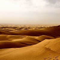 مرنجاب