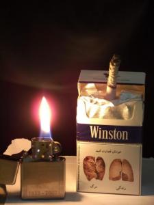 مرگ و زندگی با Winston