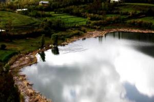 اگر نمی توانی نهنگ باشی، فقط یک ماهی کوچک باش