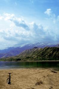 زشت و زیبا