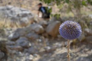 باور کنید جدی جدی عاشق شده