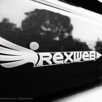 Irexweb logotype