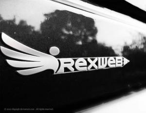 Irexweb logotype