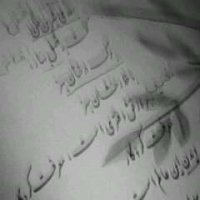 برگ درختان سبز