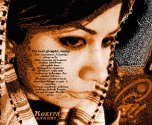 poster 13