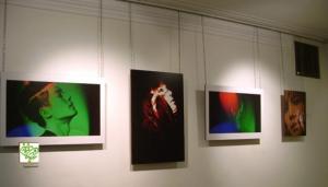 painting exhibition91-9