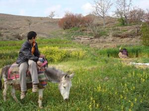 روستایی ها