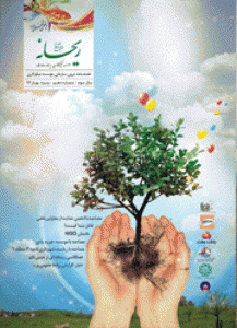 نشریه سازمانی شماره 10