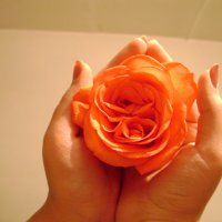 در اوج خوشبختی ام اما...
