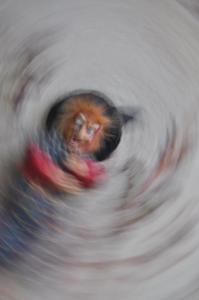 حرکت