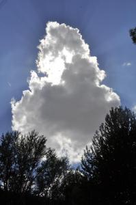 نور