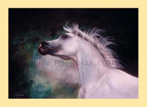 اسب 8