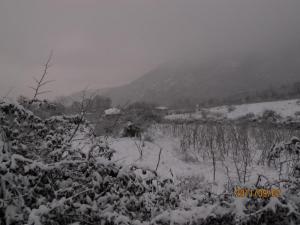 عکاسی از طبیعت